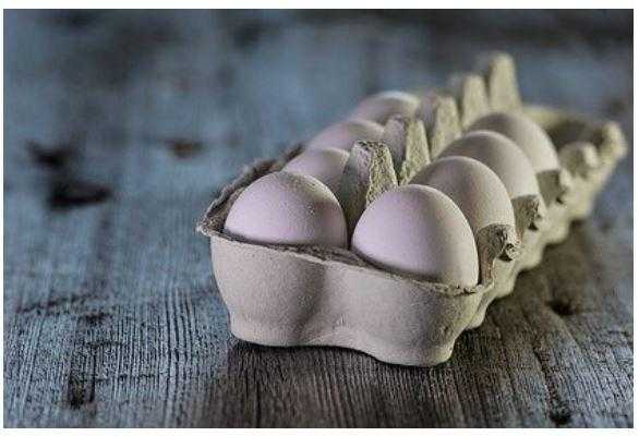 Найдена альтернатива куриным яйцам в рационе