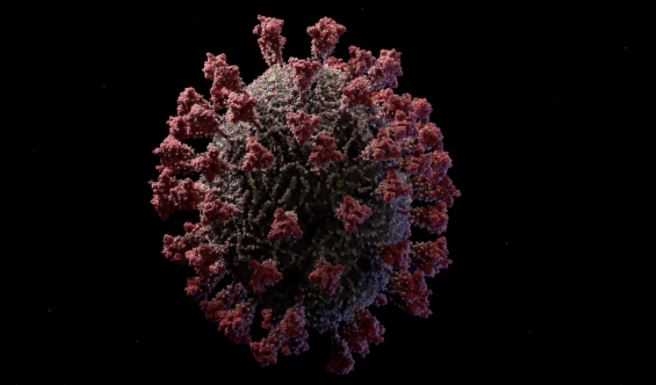 Ученые выявили влияние коронавируса на умственные способности