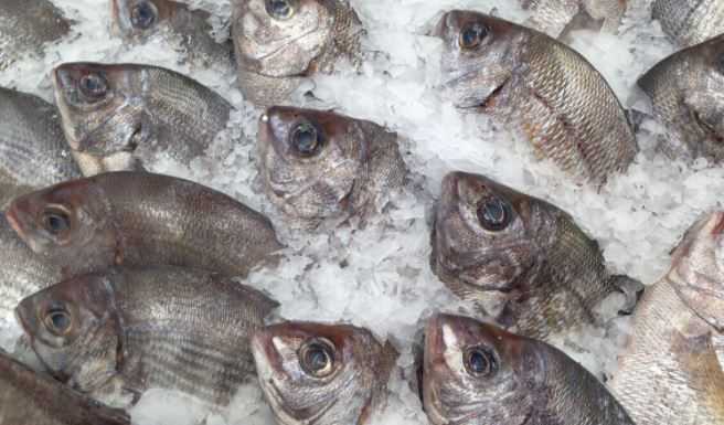 Названы девять полезных свойств рыбы для организма