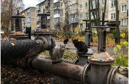 Проблемы с отоплением в России измерили котами