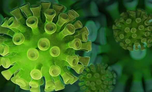 Штамм COVID-19 «Омикрон» мог возникнуть в организме человека с ВИЧ-инфекцией