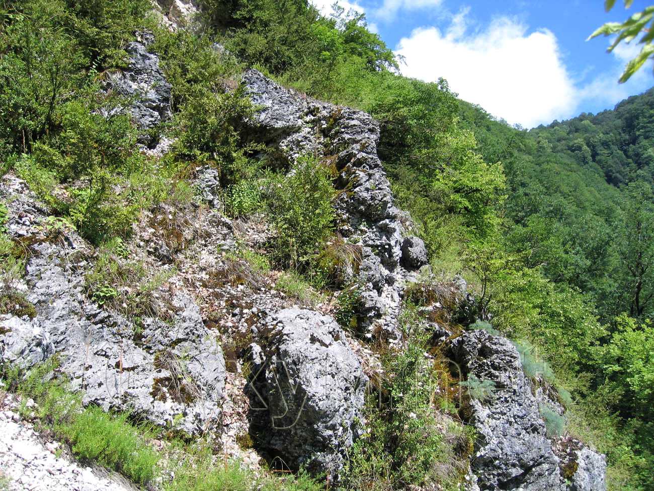 поверхность скалы