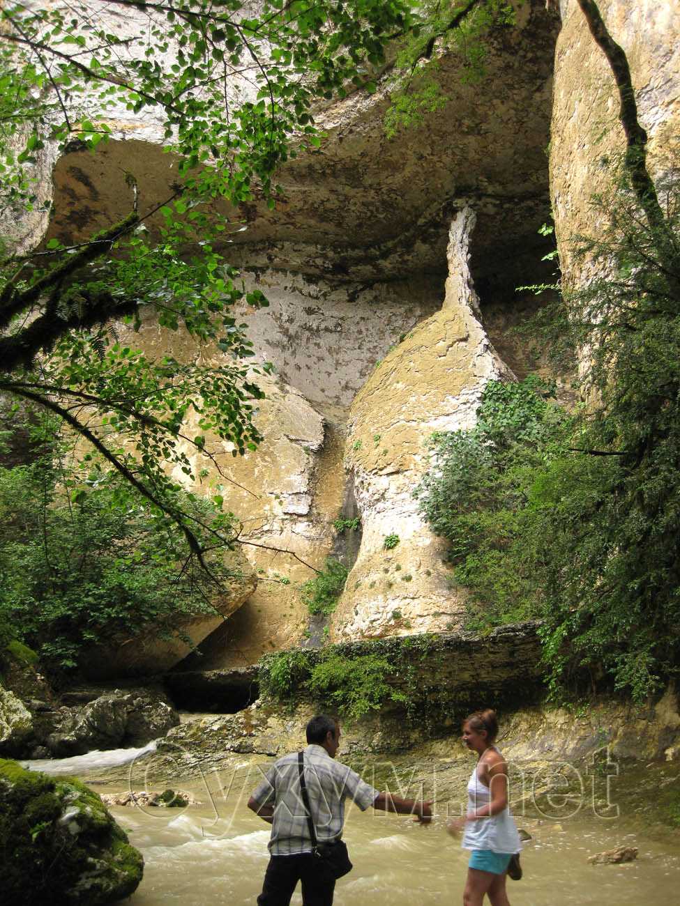 Шакураны в скале Абхазия