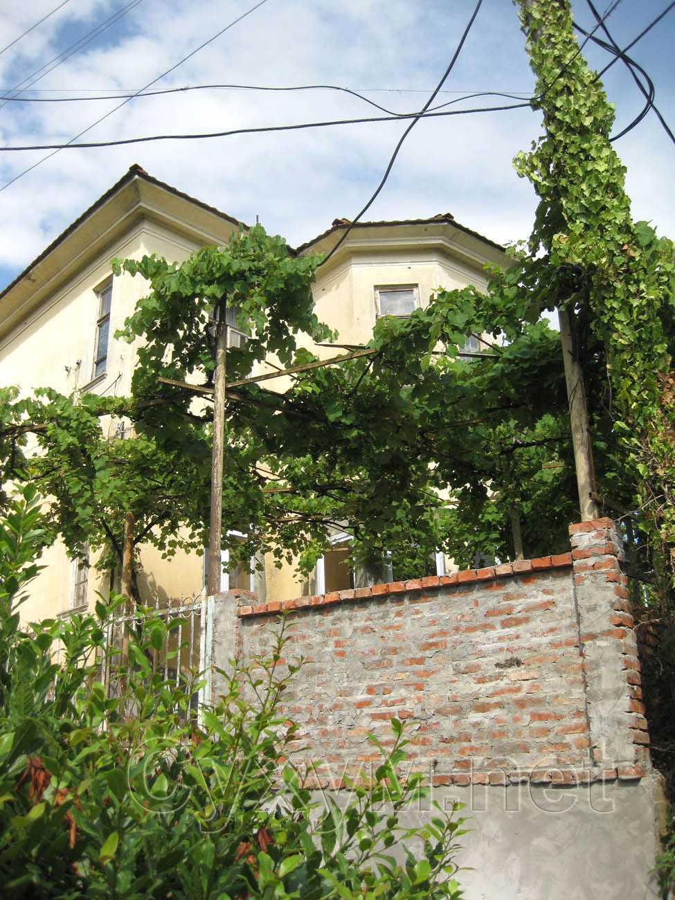 двухэтажное здание, украшенное лозами винограда