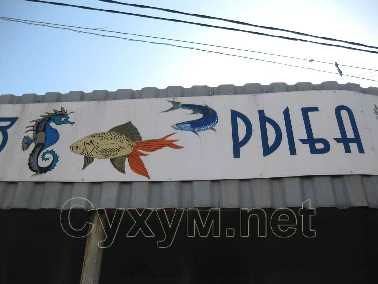 вывеска рыбного магазина со стороны улиц Д. Гулия и Вардания