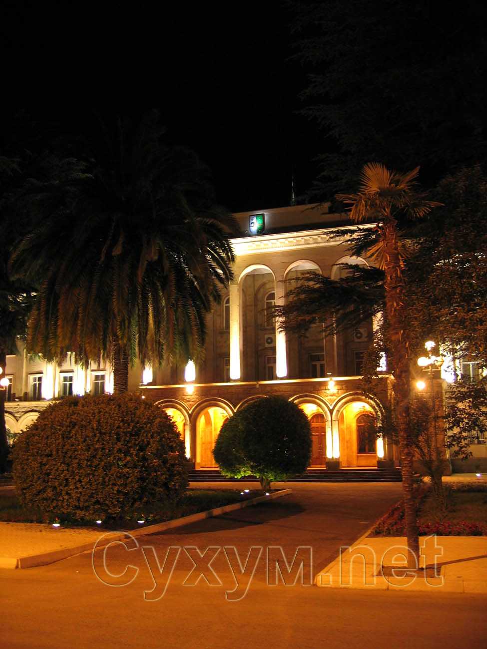 огромная финиковая пальма перед зданием администрации президента абхазии