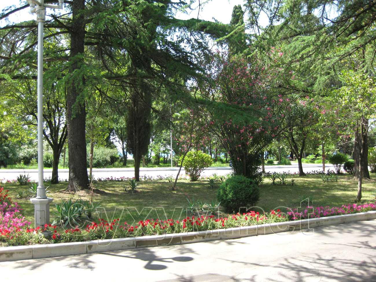 ухоженные газоны у здания администрации президента республики абхазия