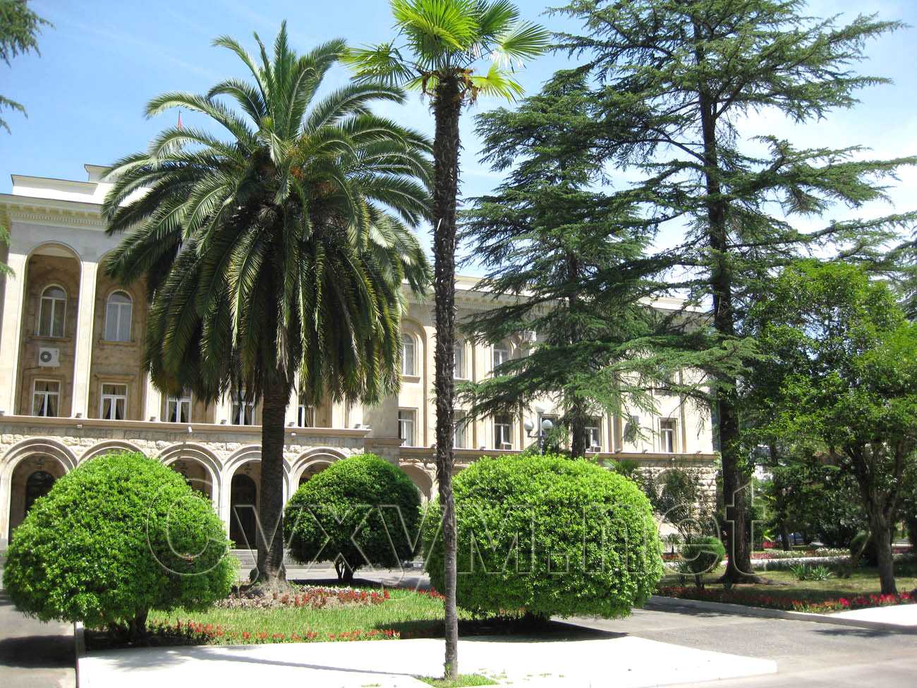 две пальмы украшают центральную аллею к зданию президента ра