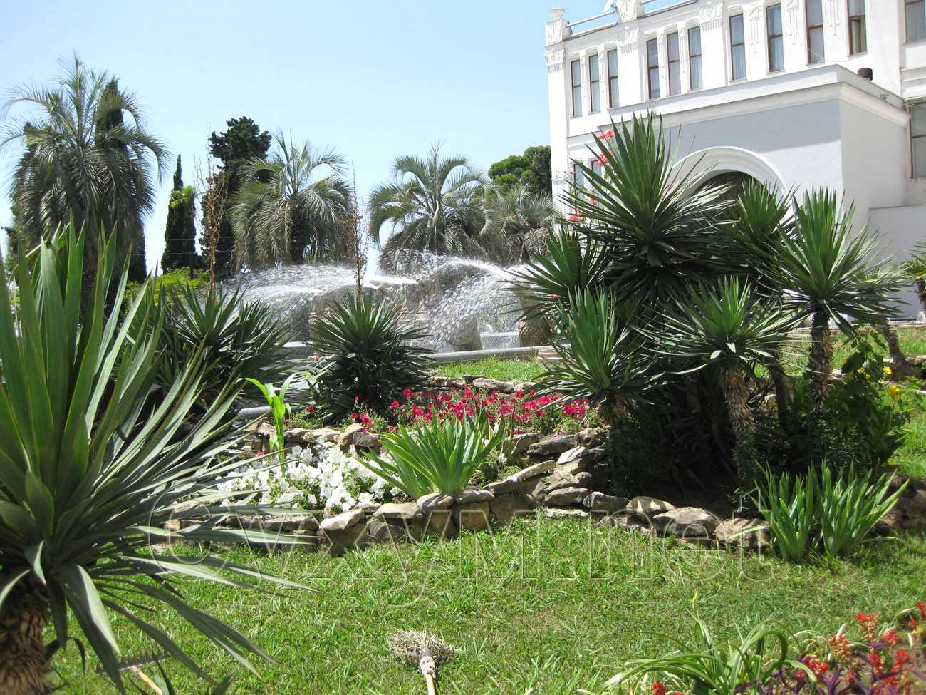 пальмы и драцены, цветы и фонтан