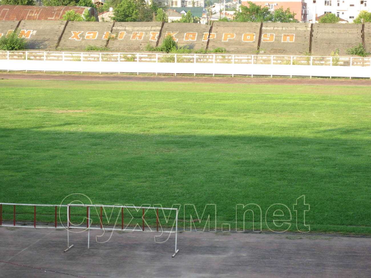 зелёная трава на поле стадиона