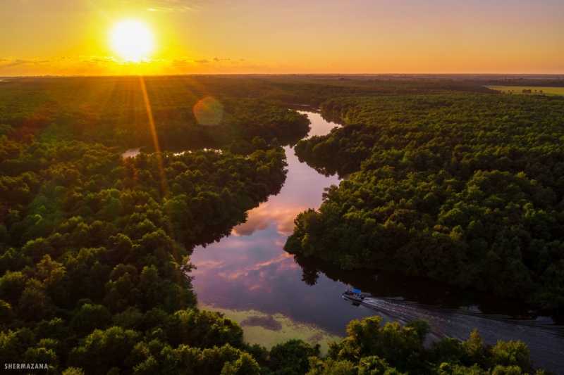 
Палиастоми - наша Амазонка

