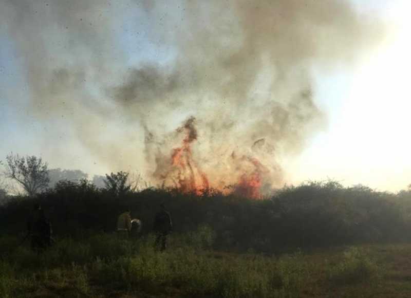 
            
            В районе Маяка произошло возгорание пустыря
                    