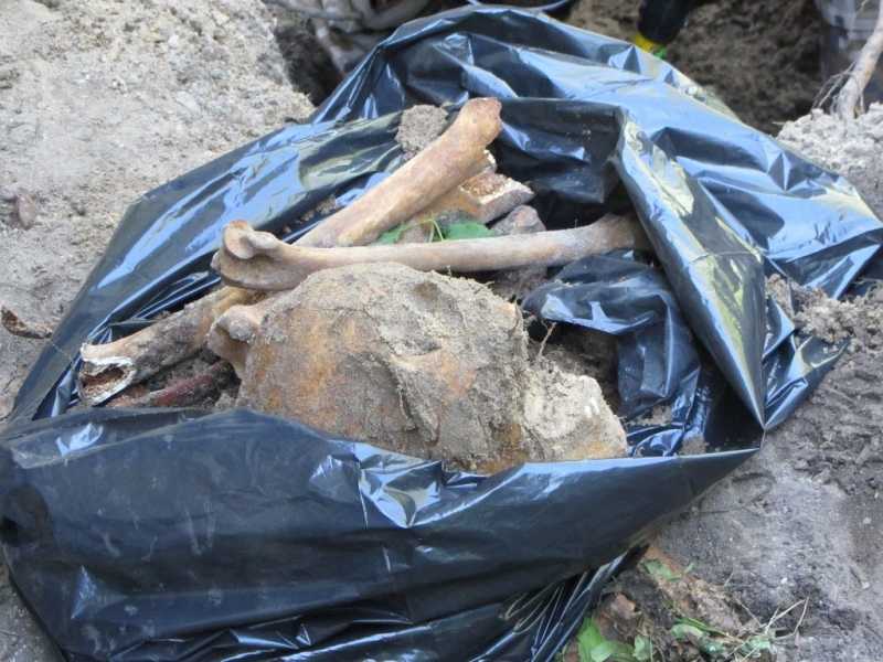 Под Калининградом нашли около 300 мешков предположительно с человеческими костями