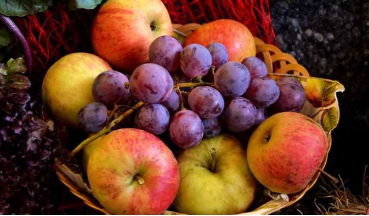 Полезные свойства яблок можно определить по их цвету