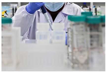 В США заявили о доказательствах происхождения коронавируса из лаборатории