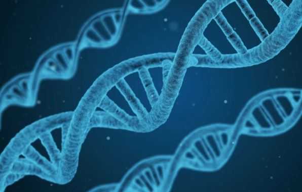 Биологи проверили способность коронавируса встраиваться в ДНК человека