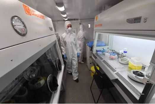 В России решили создать десятки лабораторий для выявления новых вирусов