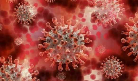 Обнаружен самый опасный штамм коронавируса