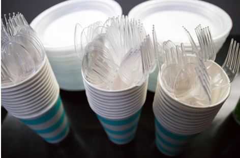 Названа дата запрета в России пластиковой посуды