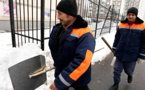 Жители Петербурга рассказали, почему дворники не справляются с уборкой снега