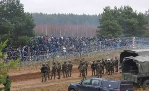 МВД Польши сообщило о строительстве заграждения на границе с Белоруссией