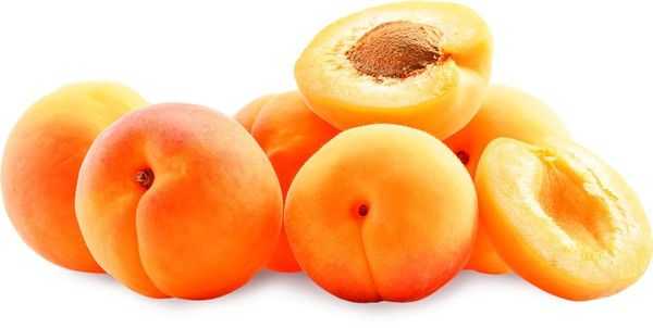 Где купить абрикосы в Спб?