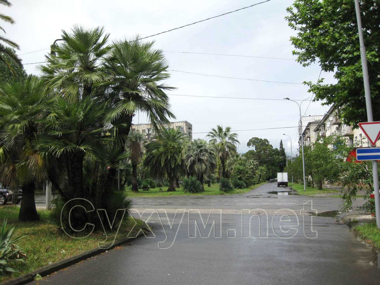 пальмовый парк на улице инал-ипа